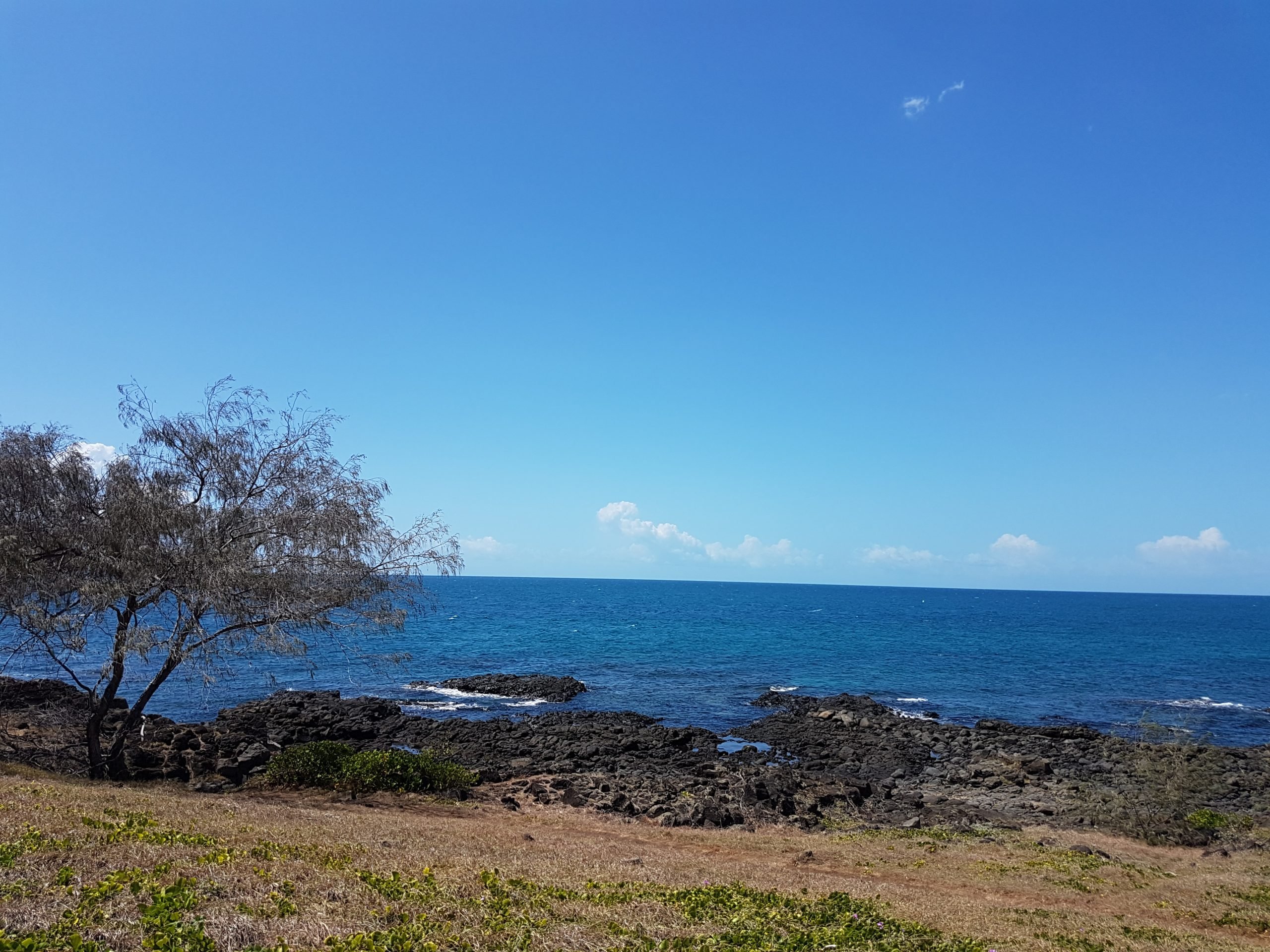 12.03.17 – Sortie snorkeling improvisée