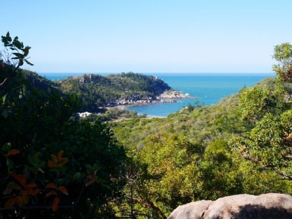 25.07.17 – Magnetic Island : snorkeling et koalas