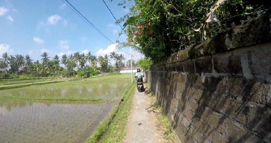 27.08.17 – De la frénésie d’Ubud à la sérénité de Munduk