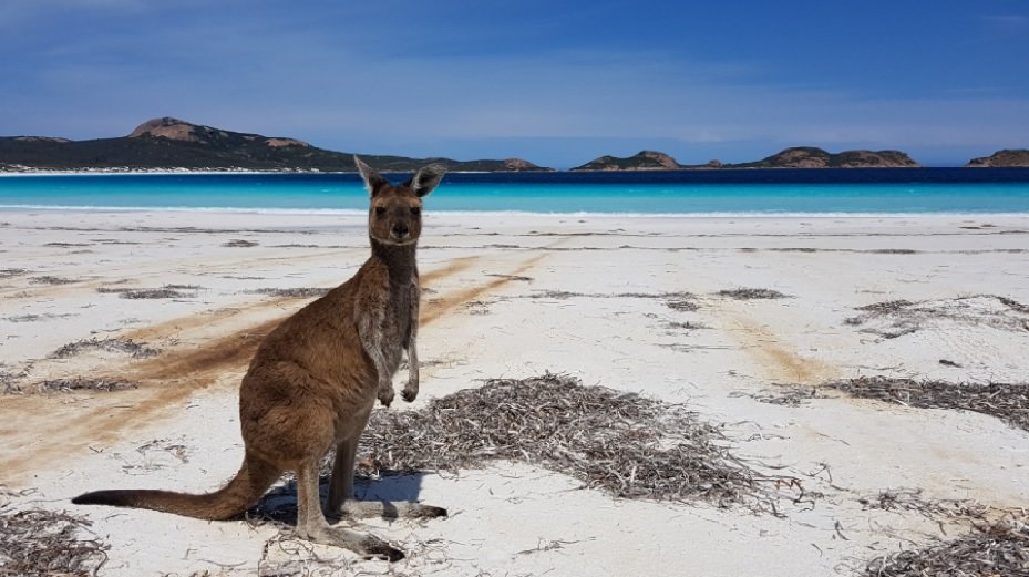 17.11.17 – Cape Le Grand National Park et sa magnifique plage de Lucky Bay